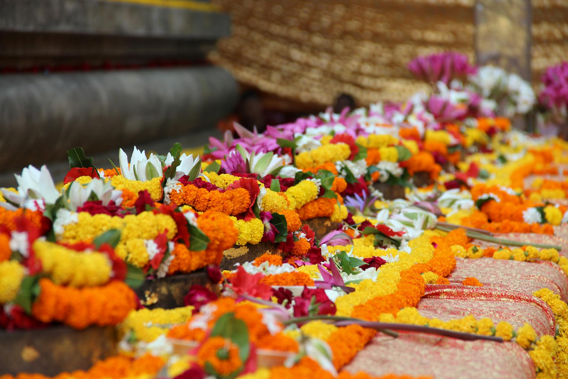 Day of the Dead Wisdom for Teachers